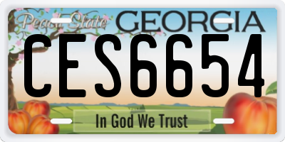 GA license plate CES6654