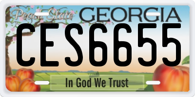 GA license plate CES6655