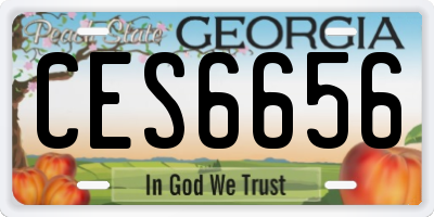 GA license plate CES6656