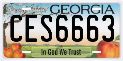 GA license plate CES6663