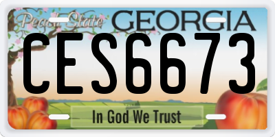 GA license plate CES6673