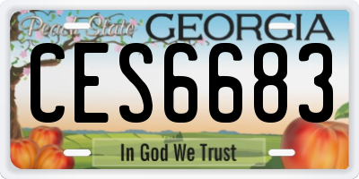 GA license plate CES6683