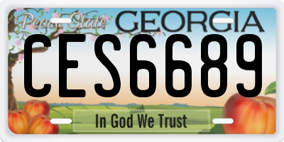 GA license plate CES6689