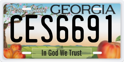 GA license plate CES6691