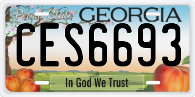 GA license plate CES6693