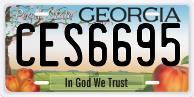 GA license plate CES6695