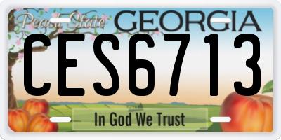GA license plate CES6713