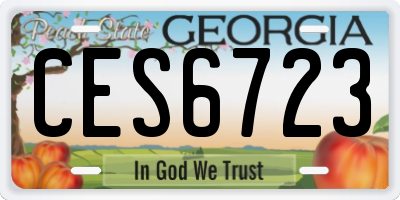 GA license plate CES6723