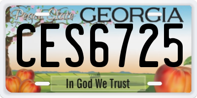 GA license plate CES6725