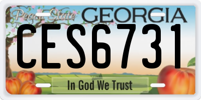GA license plate CES6731