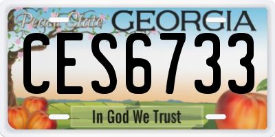 GA license plate CES6733