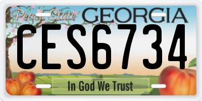 GA license plate CES6734