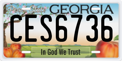 GA license plate CES6736