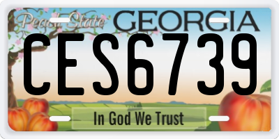 GA license plate CES6739