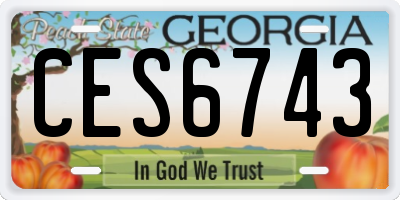 GA license plate CES6743