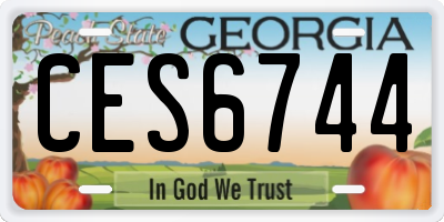 GA license plate CES6744