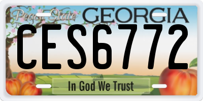 GA license plate CES6772