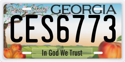 GA license plate CES6773