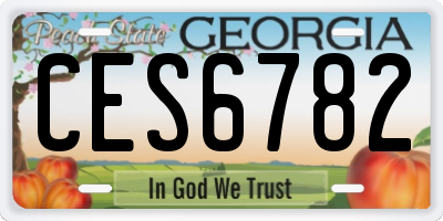 GA license plate CES6782
