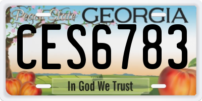 GA license plate CES6783
