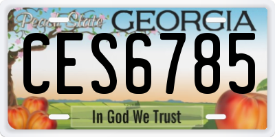 GA license plate CES6785