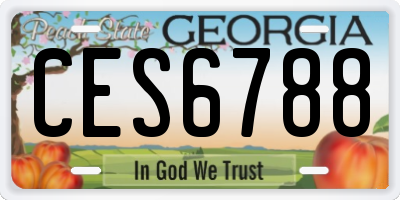 GA license plate CES6788