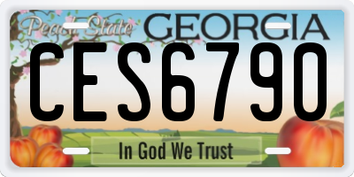 GA license plate CES6790