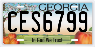 GA license plate CES6799