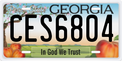 GA license plate CES6804