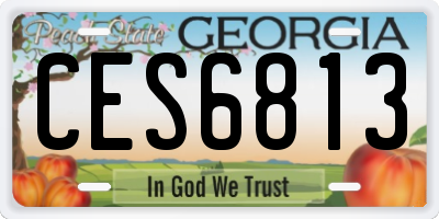 GA license plate CES6813