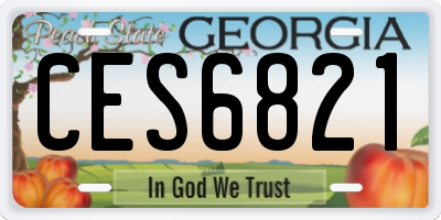 GA license plate CES6821