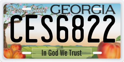 GA license plate CES6822
