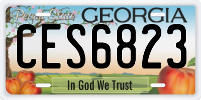 GA license plate CES6823
