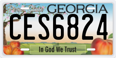GA license plate CES6824