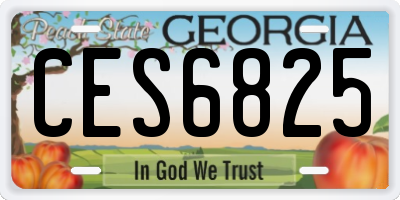 GA license plate CES6825