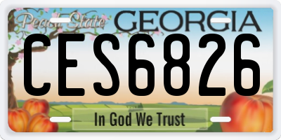 GA license plate CES6826