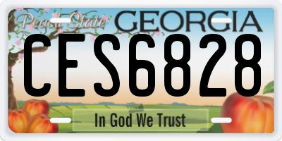 GA license plate CES6828