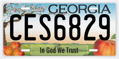 GA license plate CES6829