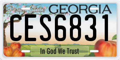 GA license plate CES6831