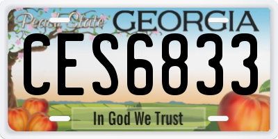 GA license plate CES6833