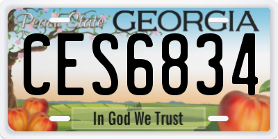 GA license plate CES6834