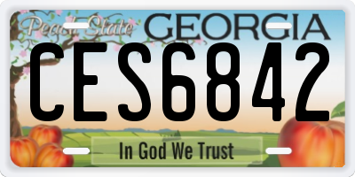 GA license plate CES6842