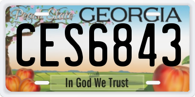 GA license plate CES6843