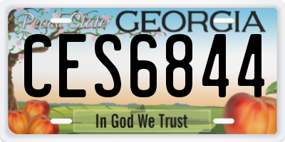 GA license plate CES6844