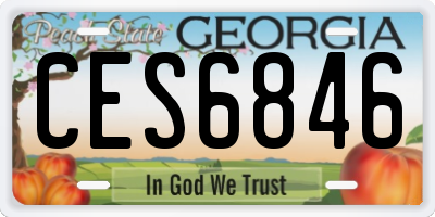 GA license plate CES6846