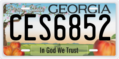 GA license plate CES6852