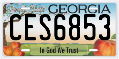 GA license plate CES6853