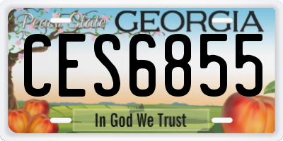 GA license plate CES6855