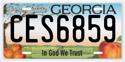 GA license plate CES6859