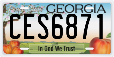 GA license plate CES6871